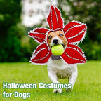 Dog Halloween Chomper Costume - Pet Holiday Demon Hat Scary Headband Flower Cosplay Outfits Funny Headwear Stranger Clothes For Medium Dog